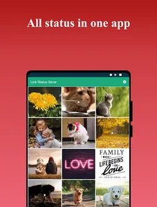 Link Status Saver screenshot 4