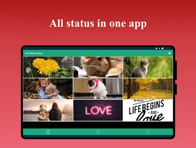 Link Status Saver screenshot 8