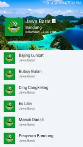 Lagu Daerah Indonesia screenshot 3