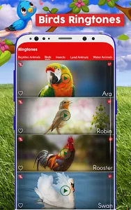 Animals & Birds Ringtones screenshot 11