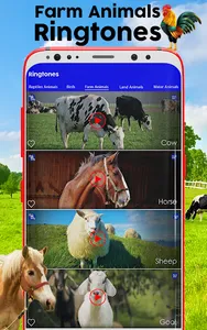 Animals & Birds Ringtones screenshot 14