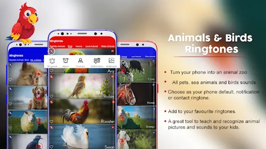 Animals & Birds Ringtones screenshot 16