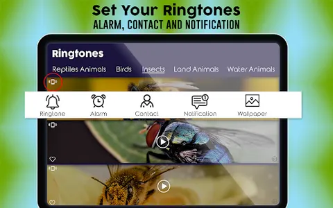 Animals & Birds Ringtones screenshot 20