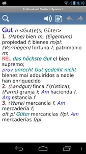 Spanish German Translator Dict screenshot 3