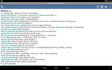 Spanish German Translator Dict screenshot 6