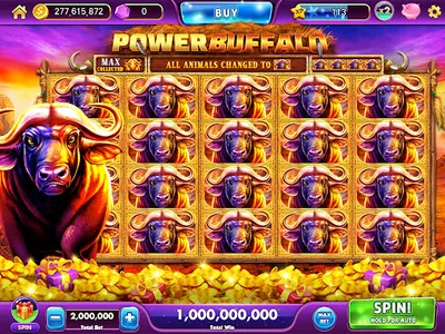 Cash Fanatic - slots casino screenshot 11