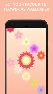 Bloom screenshot 1