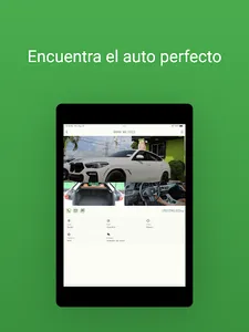 Nene Rent Car screenshot 7