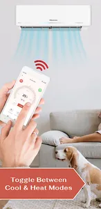 Smart AC Remote for Hisense screenshot 2