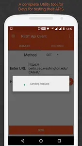 REST Api Client Android screenshot 5