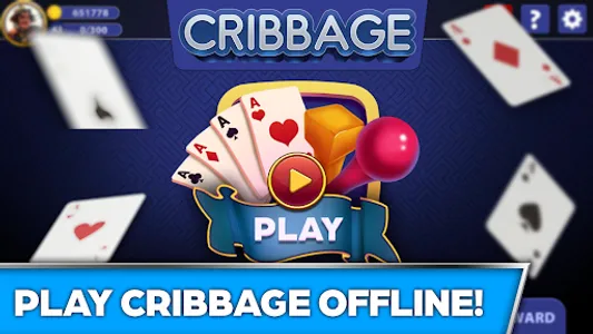 Cribbage Offline Card Game screenshot 10