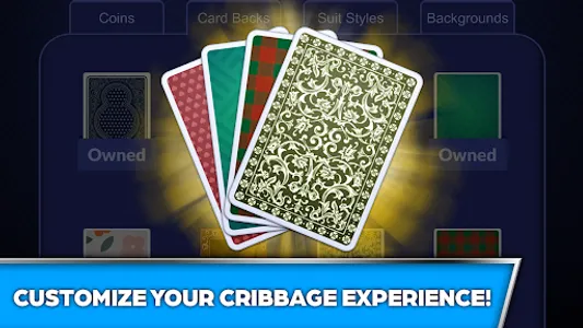 Cribbage Offline Card Game screenshot 12