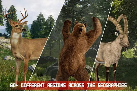 Wild Animal Hunting sniper Sho screenshot 4