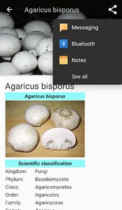 Edible mushroom - Photos screenshot 6