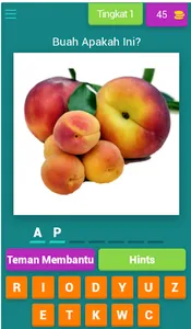 Tebak Gambar Buah V.2 screenshot 0