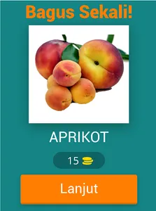Tebak Gambar Buah V.2 screenshot 5