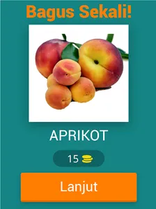 Tebak Gambar Buah V.2 screenshot 9