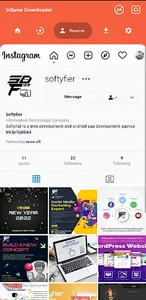 InSaver Downloader screenshot 3