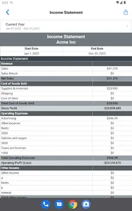 Accounting screenshot 14