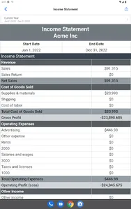 Accounting screenshot 22