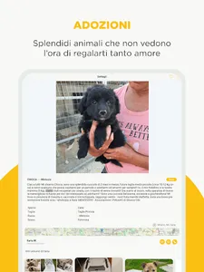 Papets screenshot 13