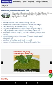 All Kannada Newspaper, India screenshot 11