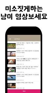 고양이 영상모음 screenshot 1