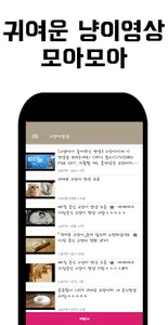 고양이 영상모음 screenshot 2