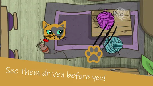 Kedi Cat screenshot 4
