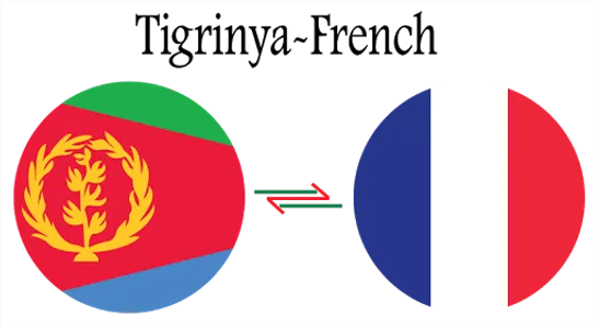 Tigrinya-French Dictionary screenshot 10
