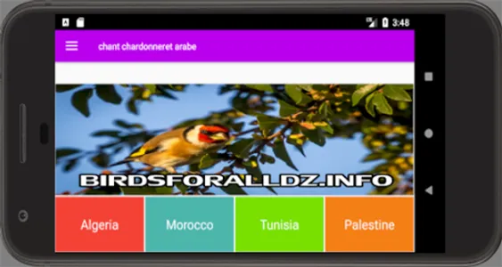 Goldfinch Song screenshot 6