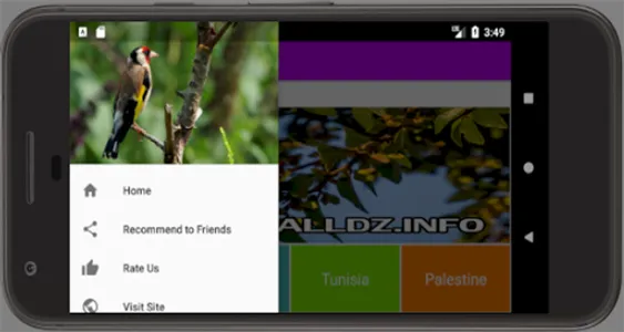 Goldfinch Song screenshot 7
