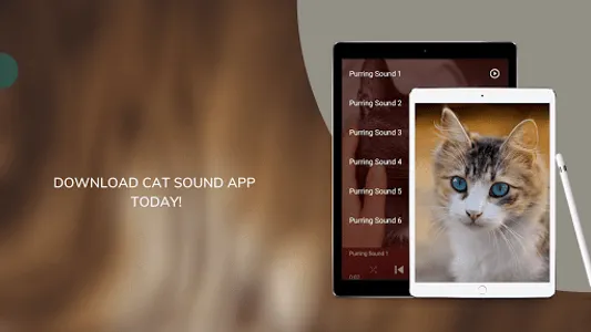 Cat Sounds - Meow Sound screenshot 8