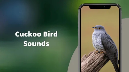 Cuckoo Bird Sounds screenshot 0
