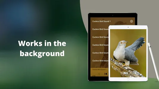 Cuckoo Bird Sounds screenshot 2