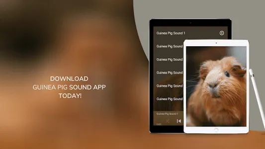 Guinea Pig Sounds screenshot 8