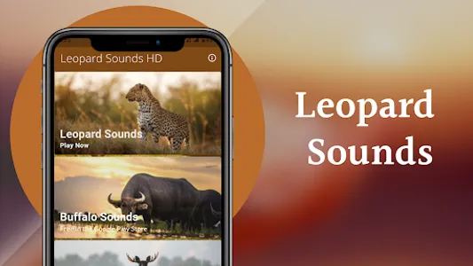 Leopard Sounds screenshot 0