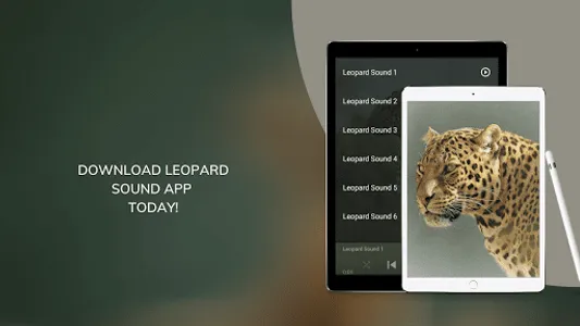 Leopard Sounds screenshot 7