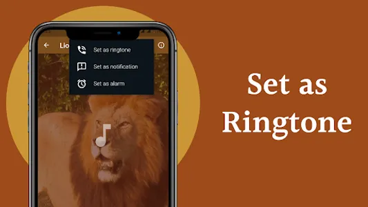 Lion Sounds screenshot 3