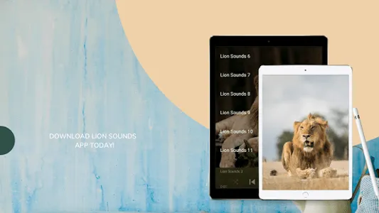 Lion Sounds screenshot 7