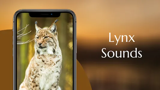 Lynx sounds screenshot 0