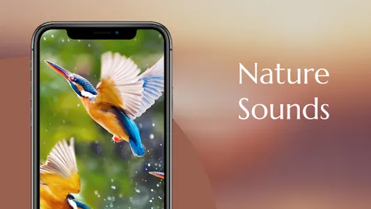 Nature Sounds - Relaxing music screenshot 0