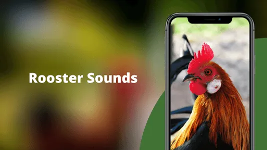 Rooster Sounds - Morning Alarm screenshot 0