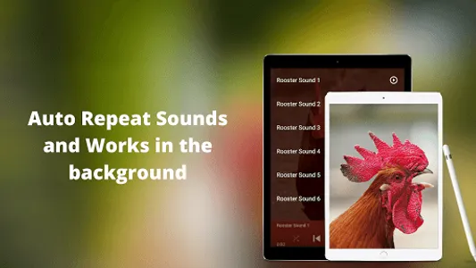 Rooster Sounds - Morning Alarm screenshot 3