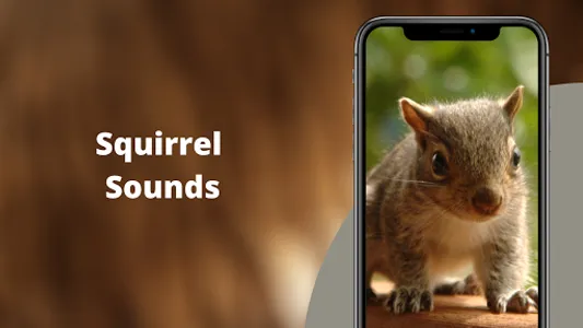 Squirrel Hunting Calls screenshot 0