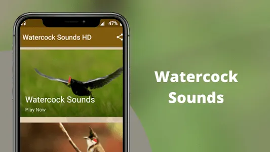 Watercock Sounds screenshot 0