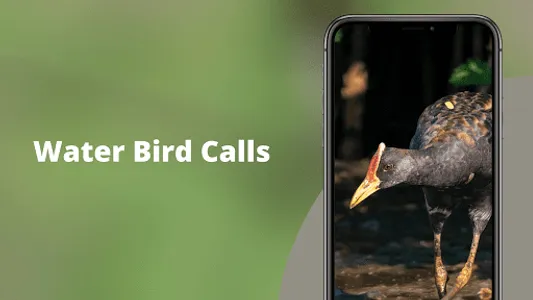 Watercock Sounds screenshot 1