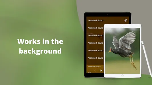 Watercock Sounds screenshot 2