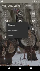 Wild Turkey Calling Sounds screenshot 1