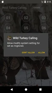 Wild Turkey Calling Sounds screenshot 2